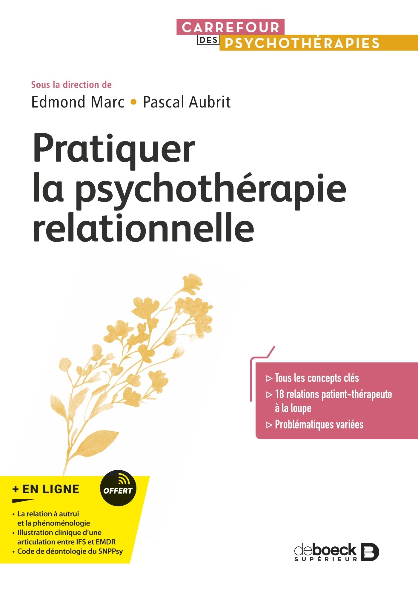 PUBLICATION : Pratiquer la psychothérapie relationnelle